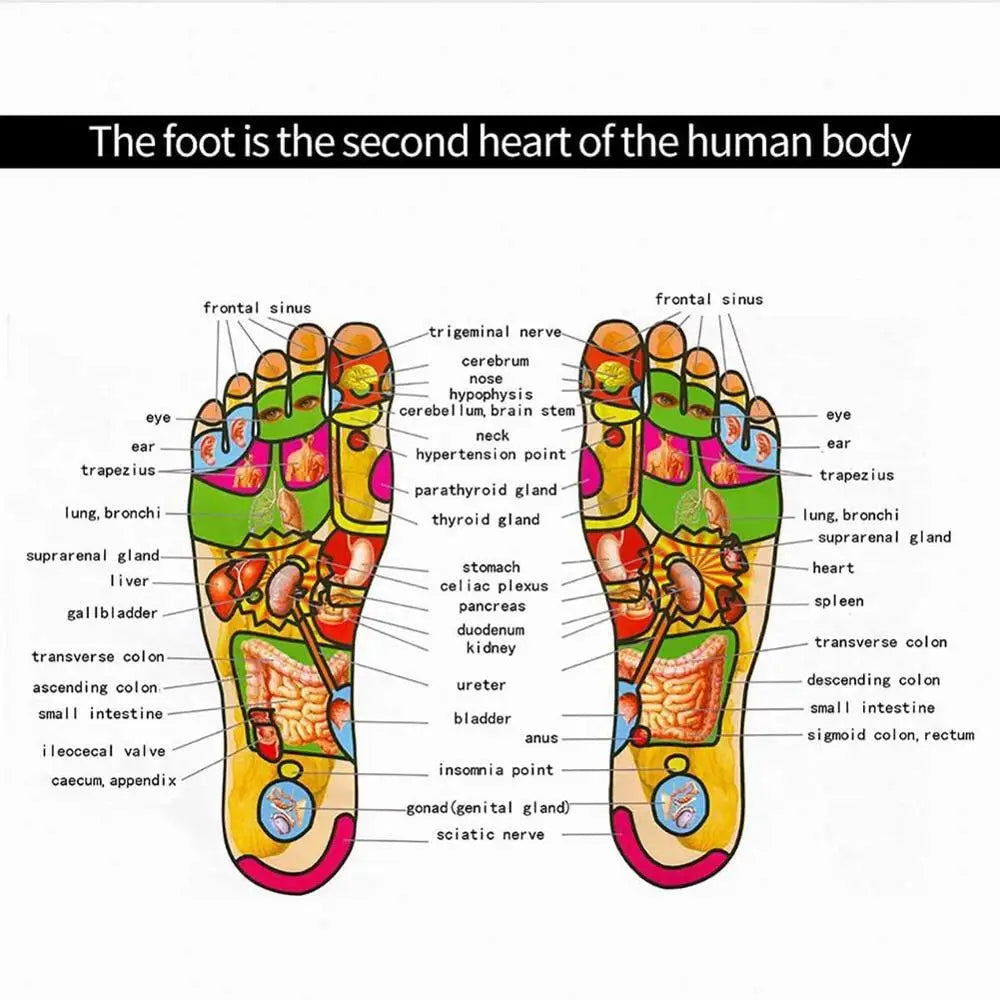 Foot Massager: Improved Circulation, Renewed Health!
