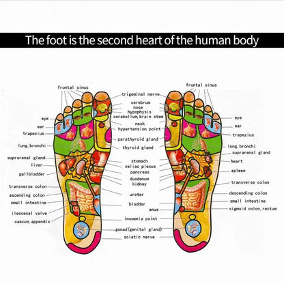 Foot Massager: Improved Circulation, Renewed Health!