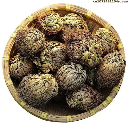 Rosa de Jericó – La Planta de Renovación y Prosperidad